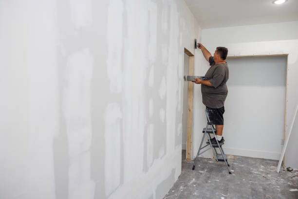 Best Mold Removal for HVAC Installations  in USA